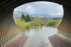 Culvert 1 Sarah Pearce Looking Through Beaver Creek Culvert Surveying A Pool Located Downstream Cole Oshiroleavitt