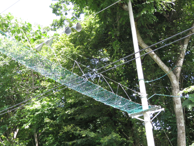 Triangular Aerial Crossings 